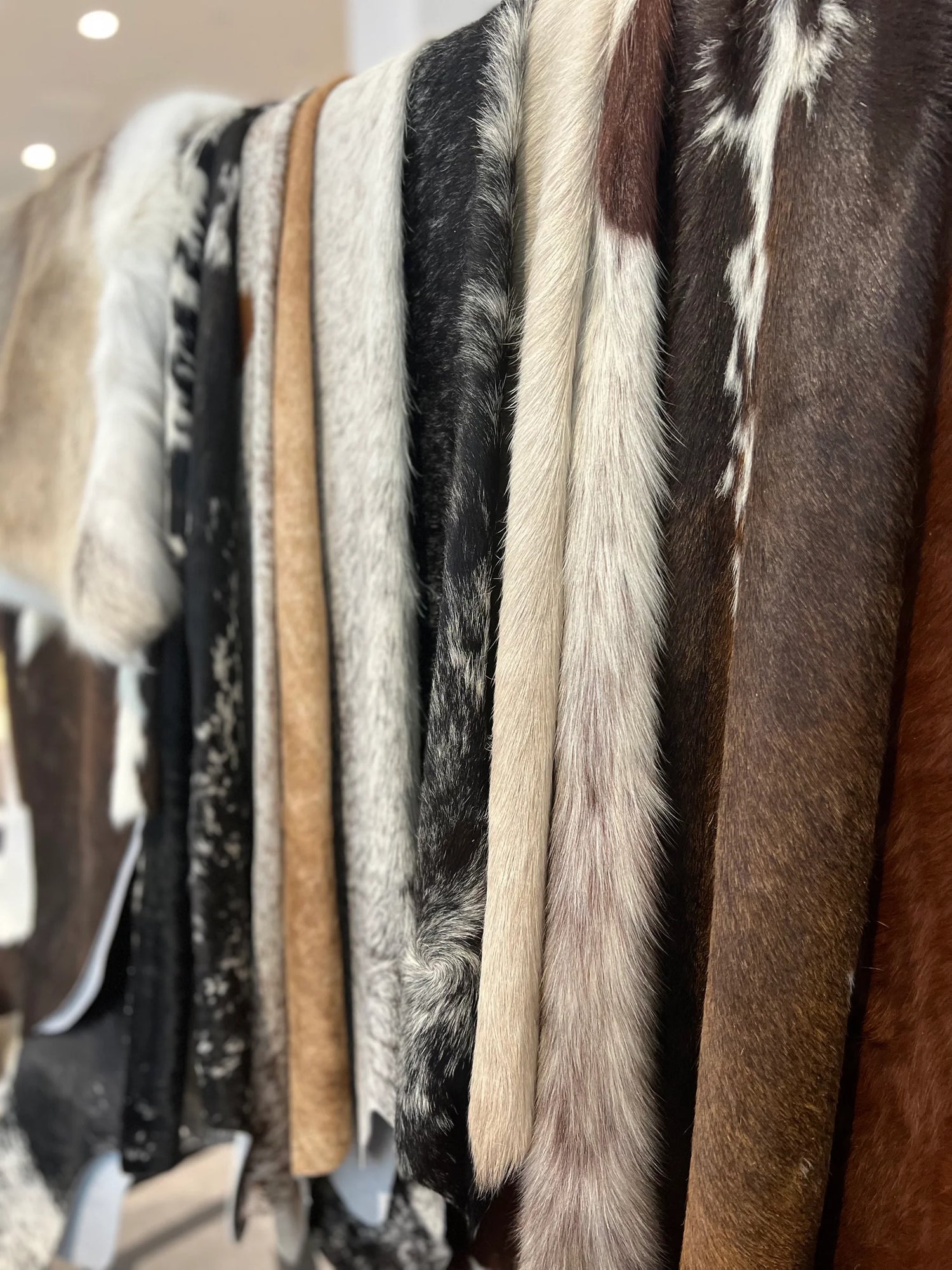 Hides & Rugs