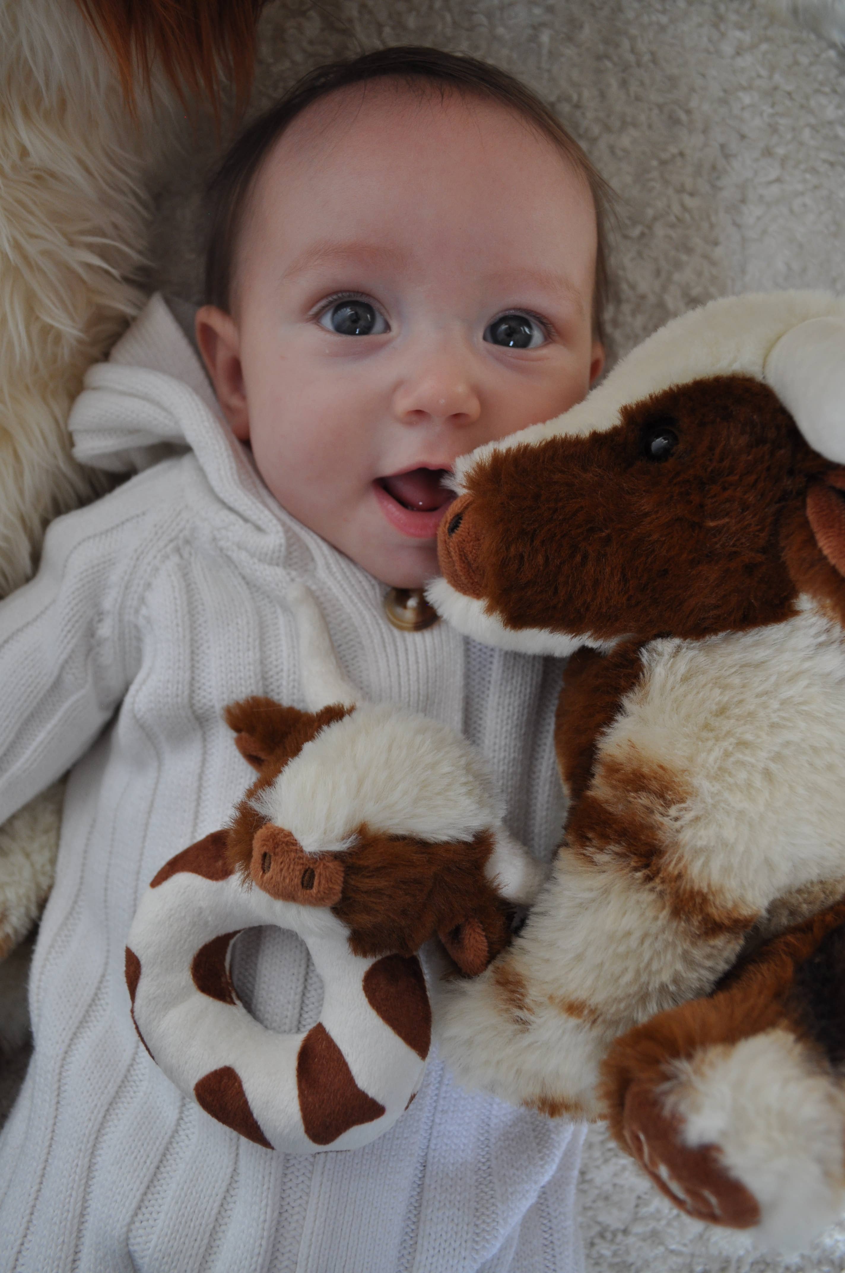 Texas Longhorn Highland Brown Cow Baby Plush Rattle 10cm