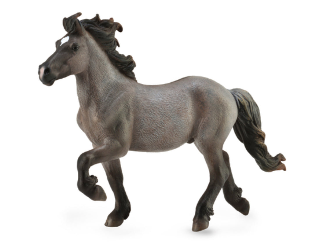 Icelandic Stallion - Blue Dun