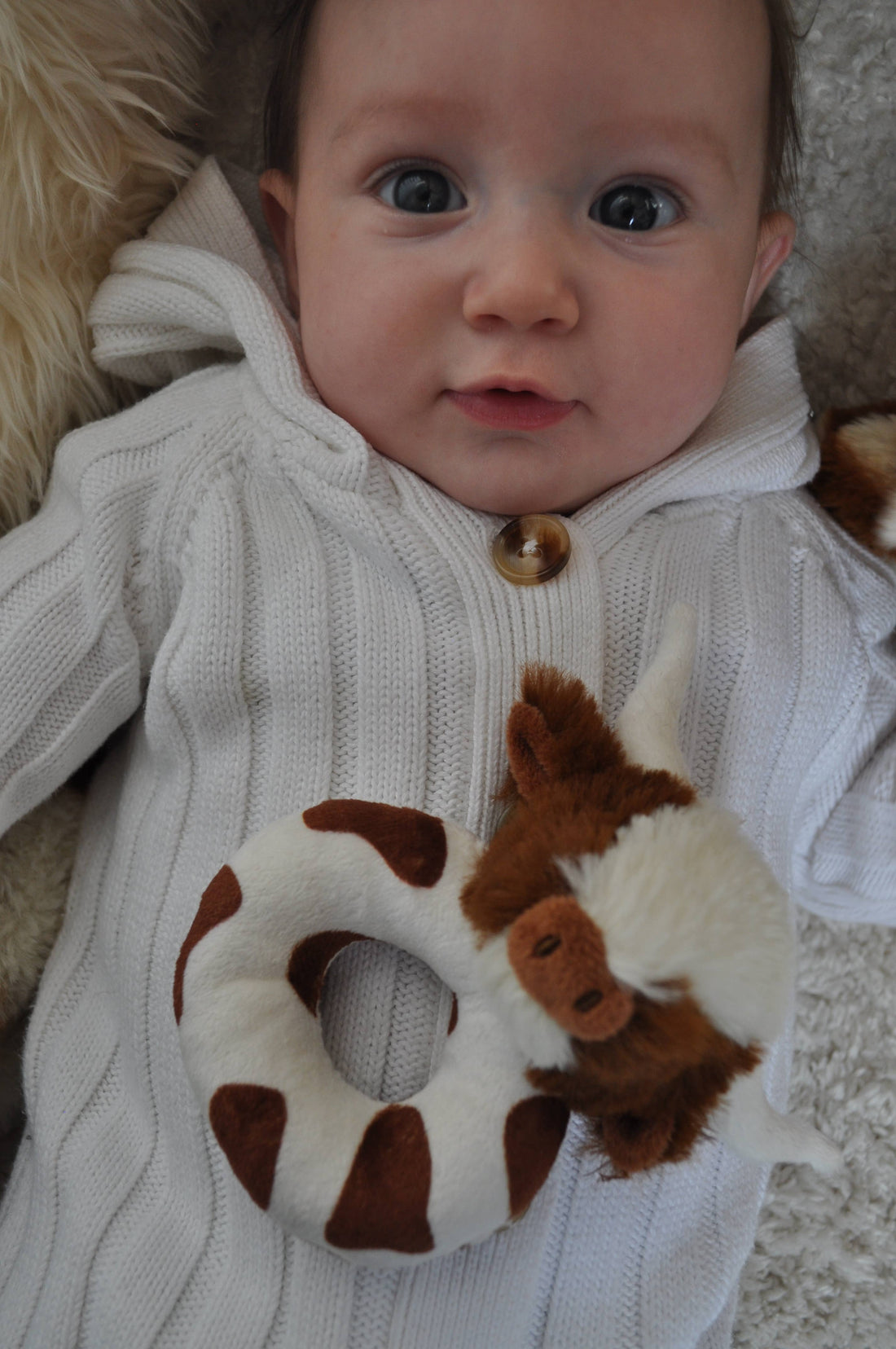 Texas Longhorn Highland Brown Cow Baby Plush Rattle 10cm