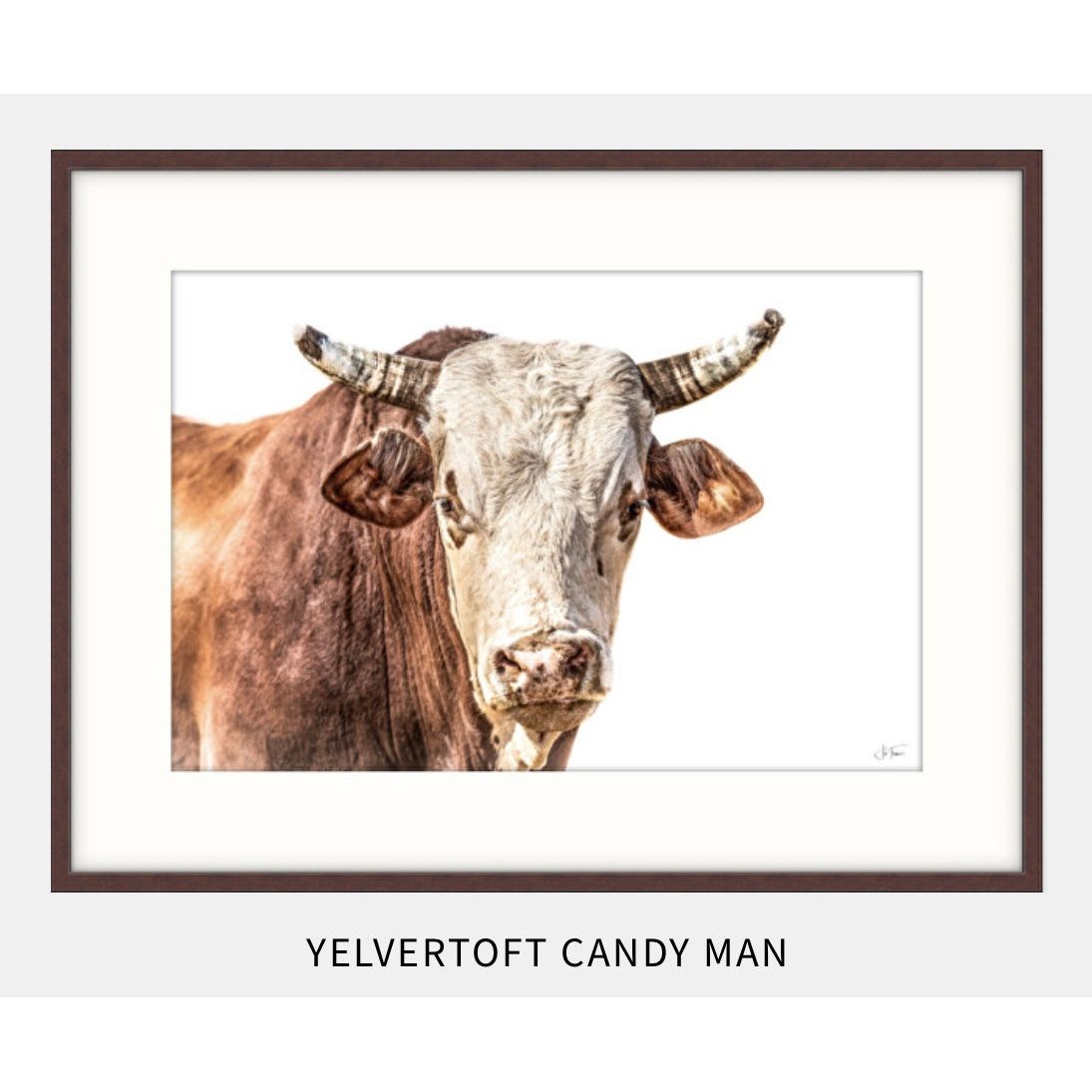 ‘Yelvertoft Candy Man’