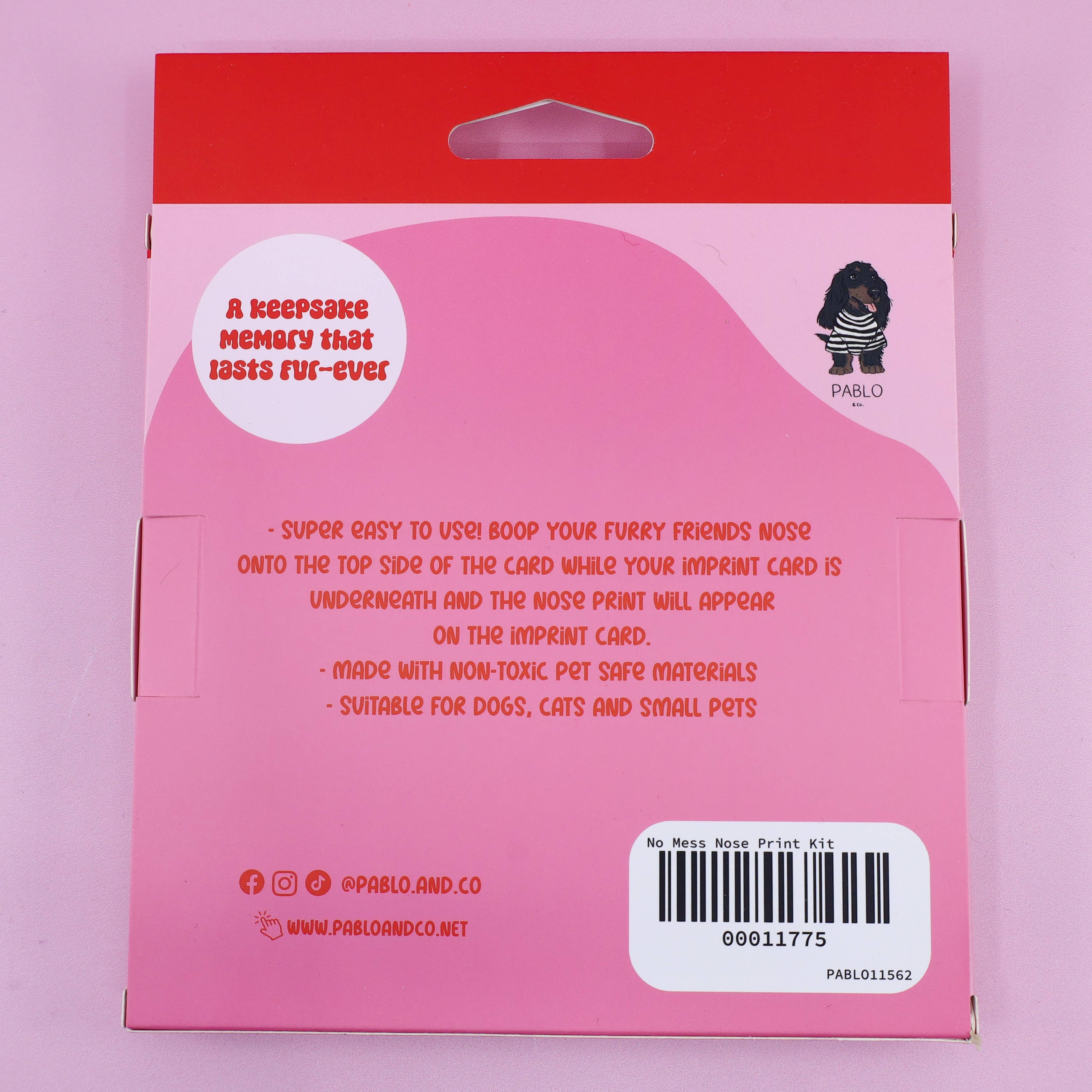 No Mess Nose Print Kit By Pablo & Co.