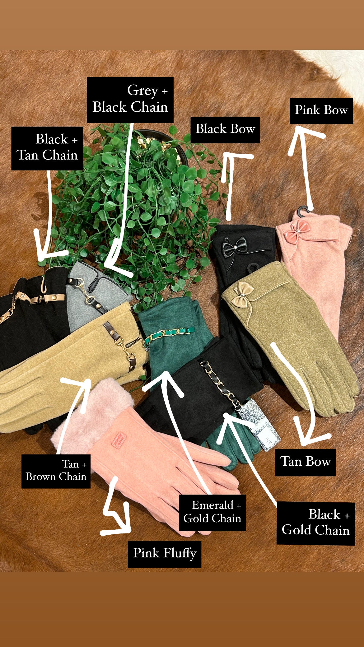 Glove Collection