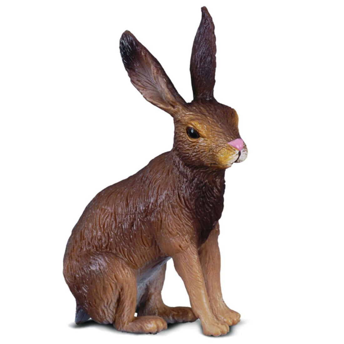 Brown Hare