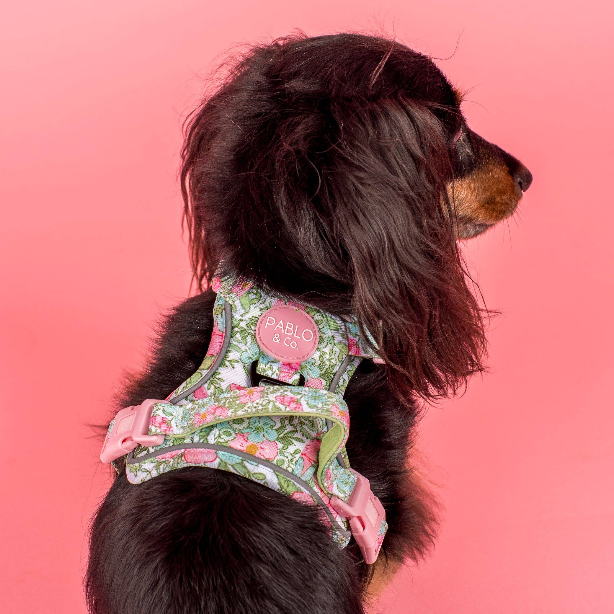 Flora & Fern: No Pull Dog Adventure Harness