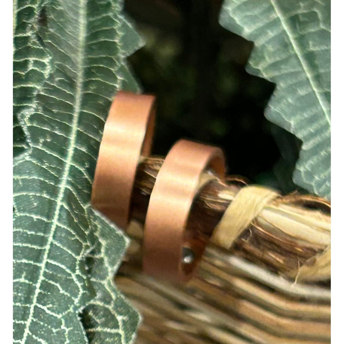 The Copper Ring Collection cr