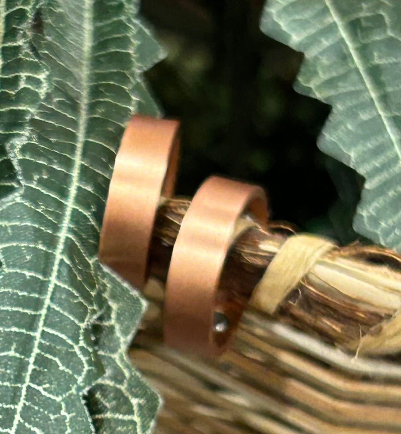 The Copper Ring Collection cr