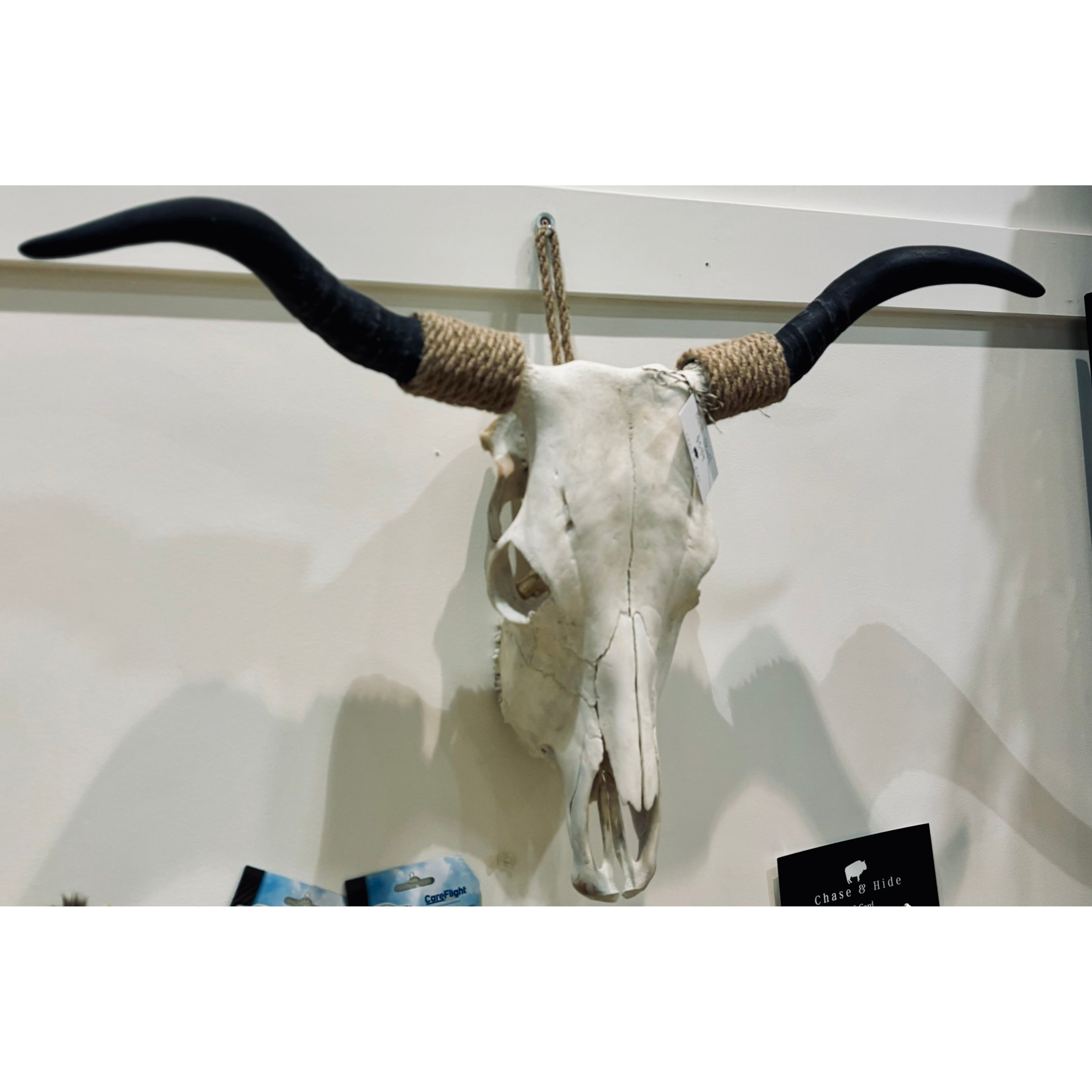 Bullocks Skull Decor
