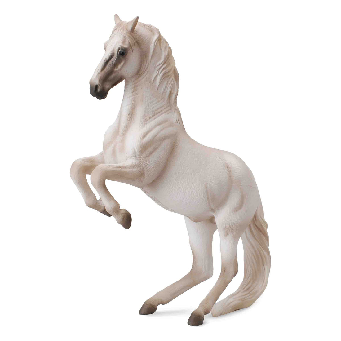 Lipizzaner Stallion (XL)