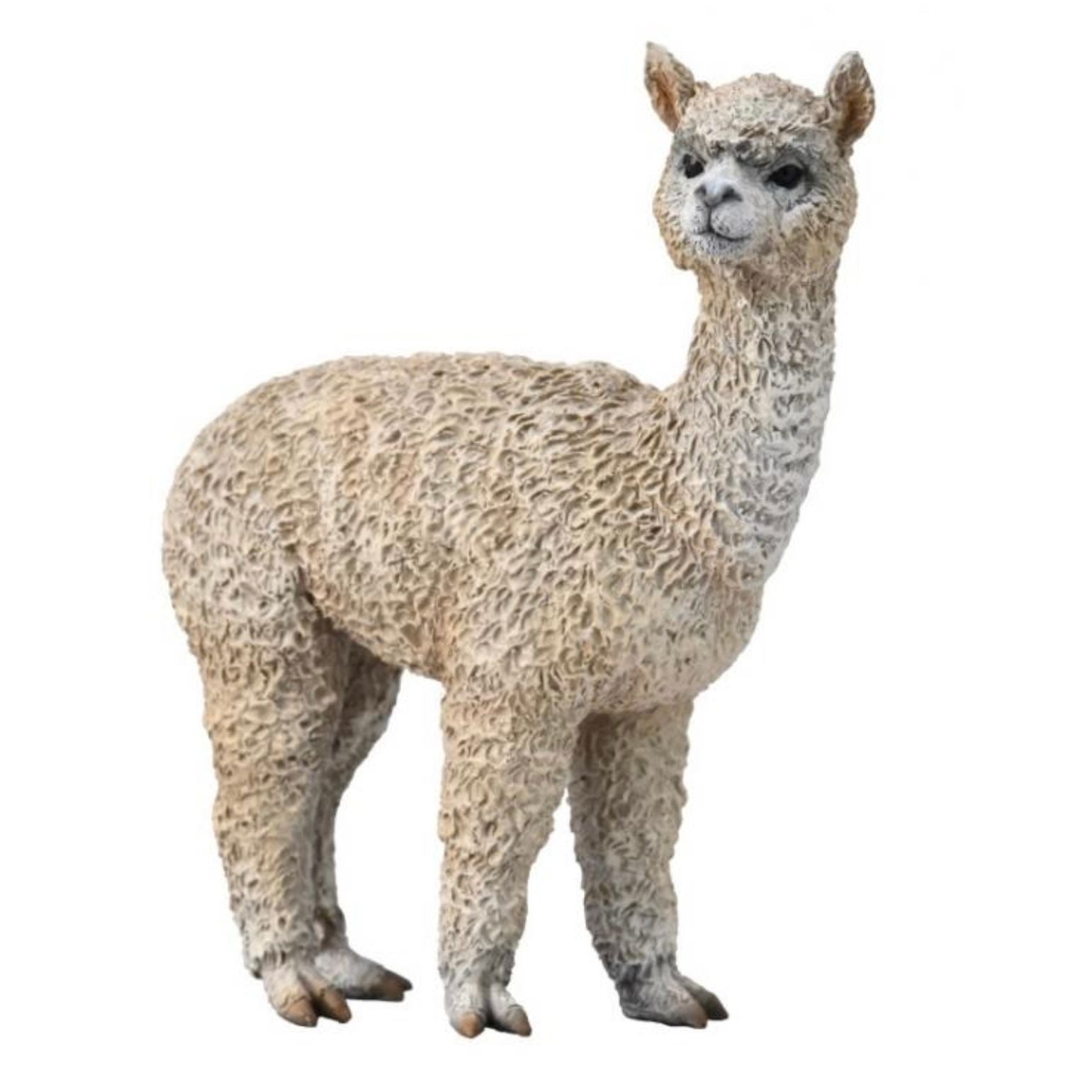 Alpaca