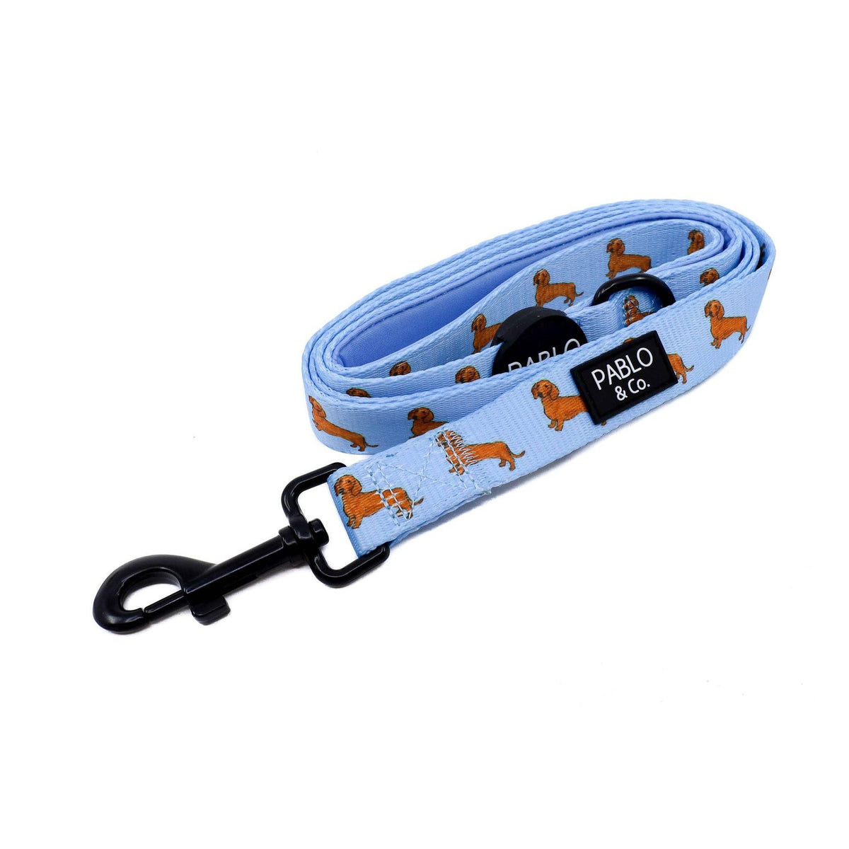 Dachshund: Dog Leash