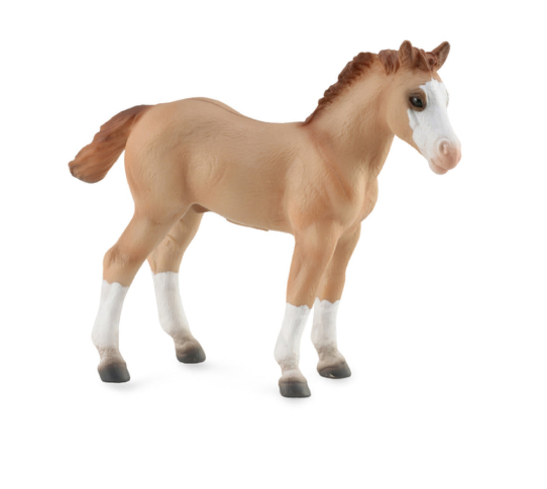 Quarter Horse Foal - Red Dun