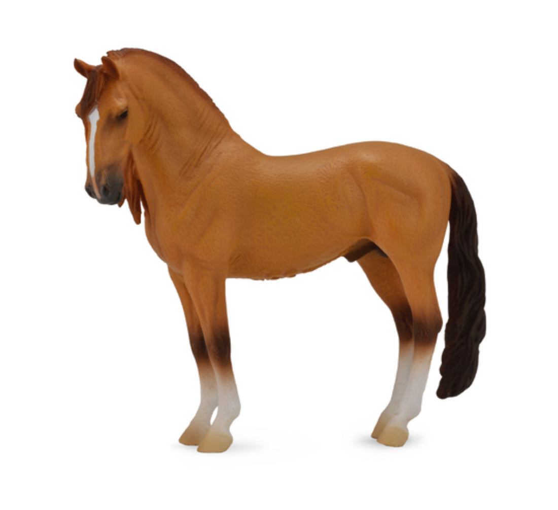 Campolina Stallion - Red Dun (XL)