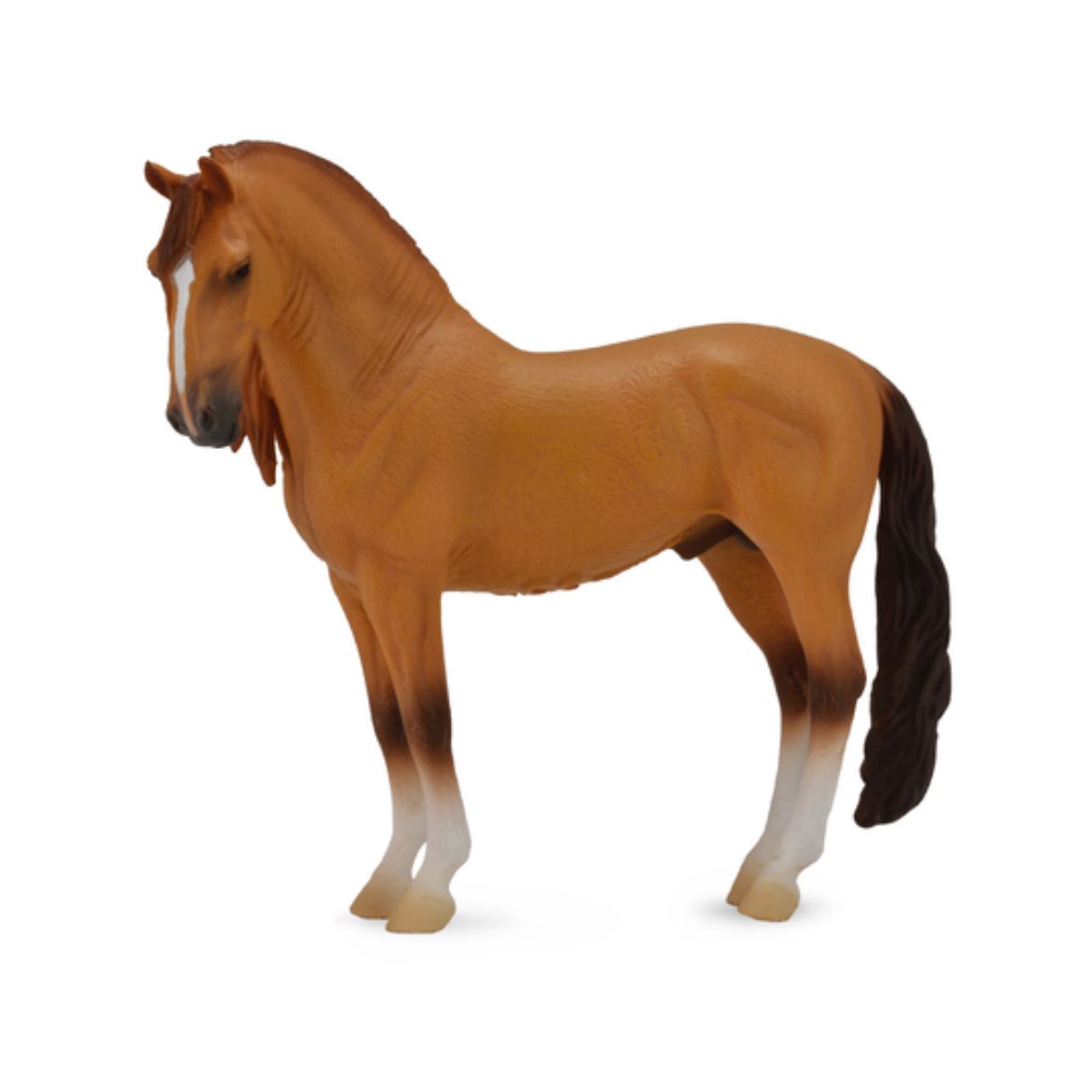 Campolina Stallion - Red Dun (XL)
