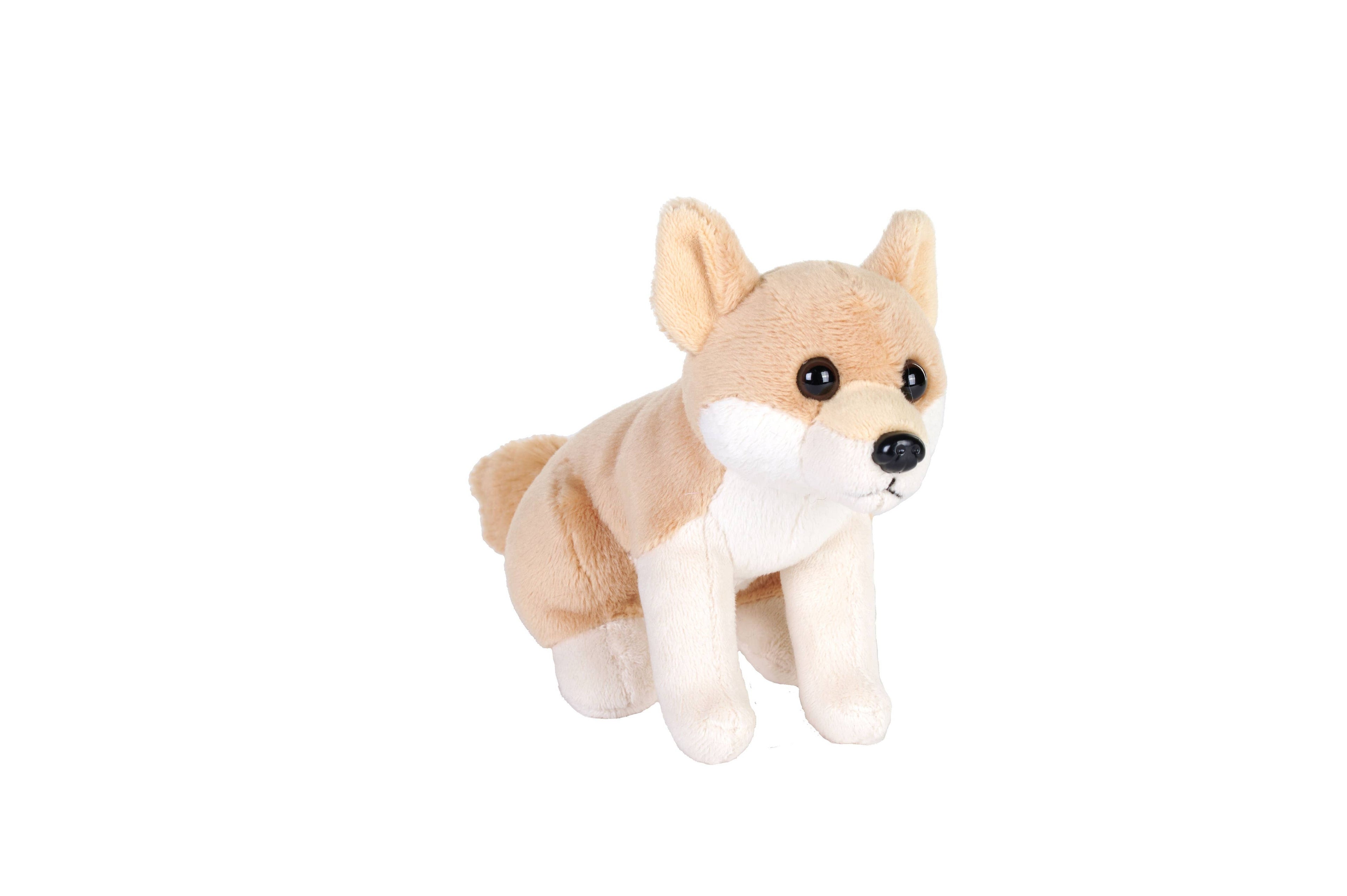 Pocketkins-Eco Dingo