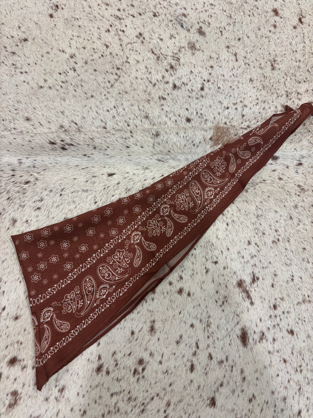 Wild Rags / Cotton Scarf