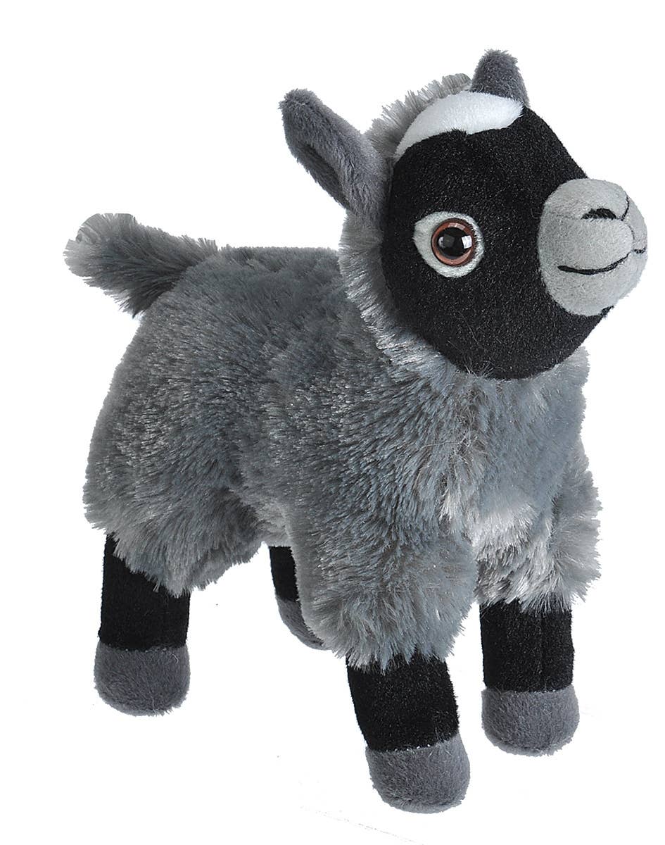 CK-Mini Goat