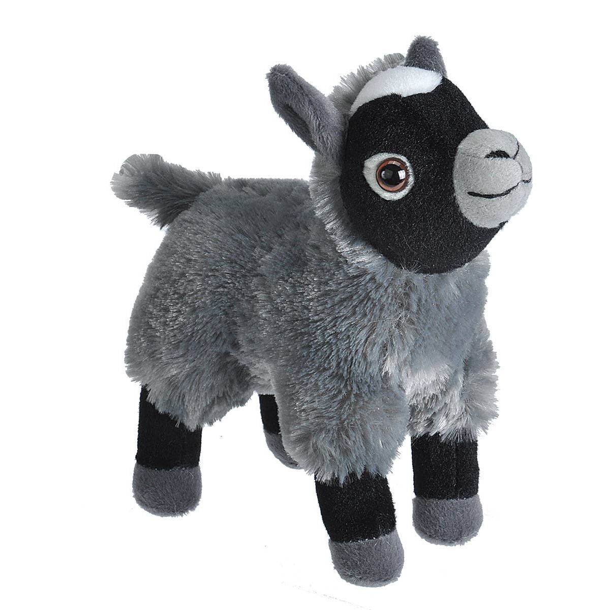 CK-Mini Goat