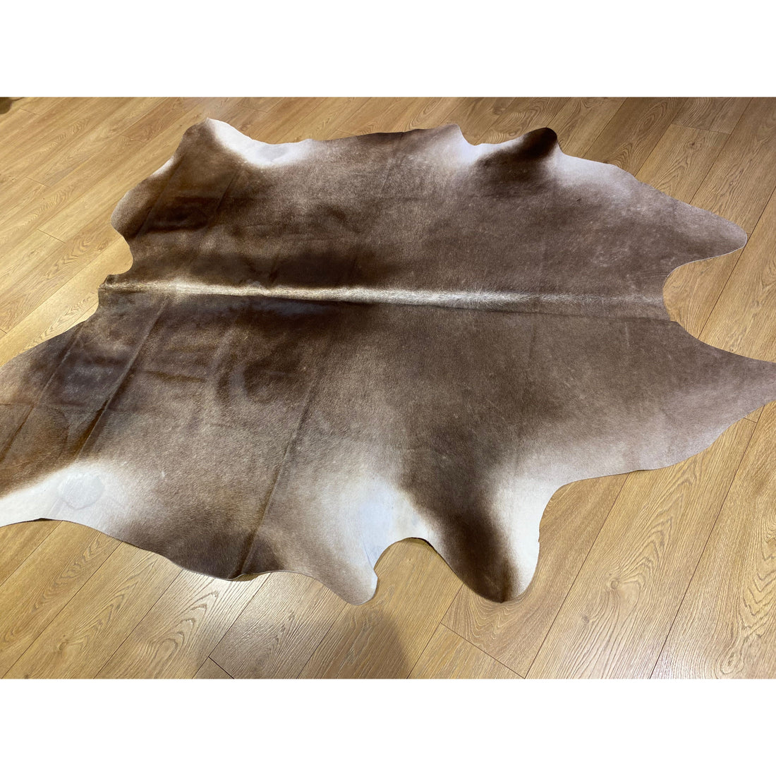 Cow Hide Rug