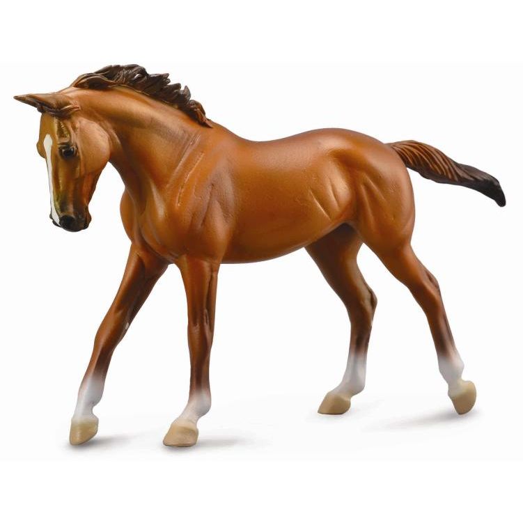 Thoroughbred Mare Bay (Delux Window Box)