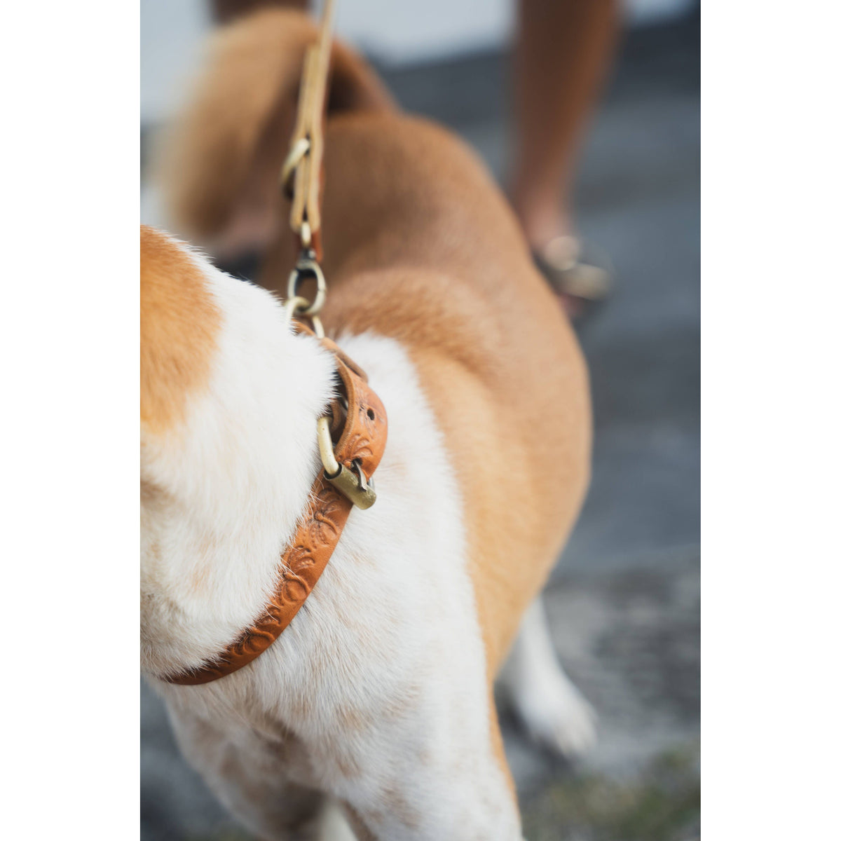 Island Collar // Palms Vintage Tan
