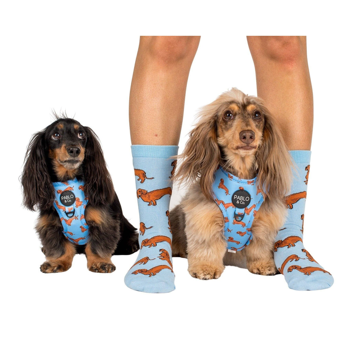 Dog Breed Socks