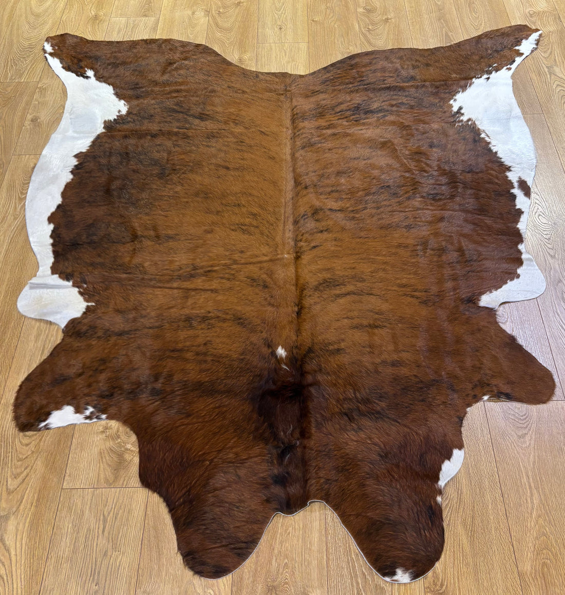 Cow Hide Rug