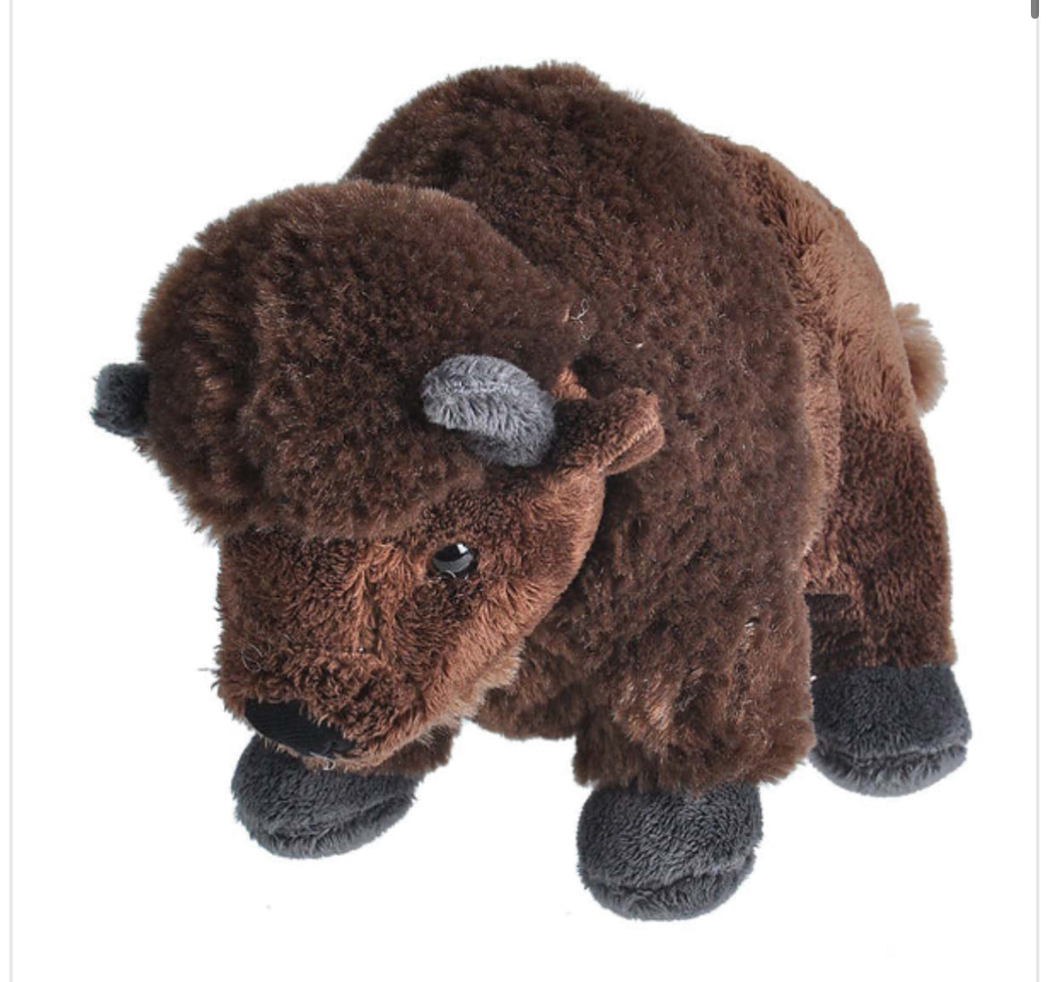 Mini Bison