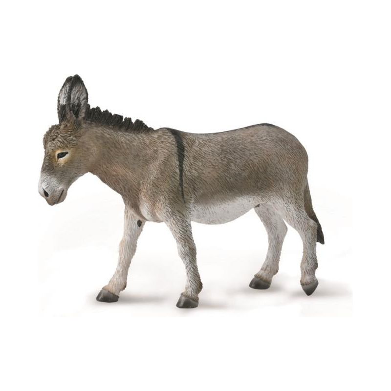 Donkey