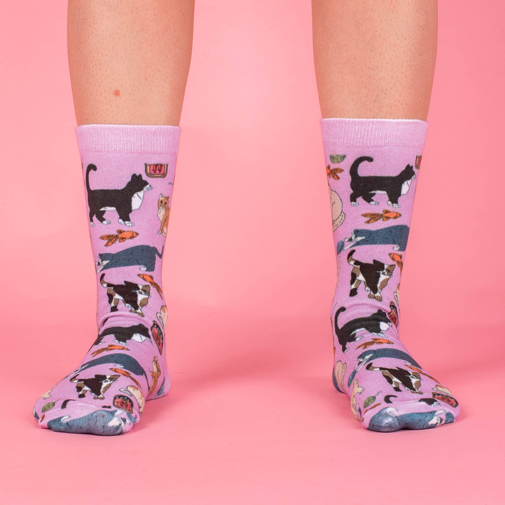 Meow Socks
