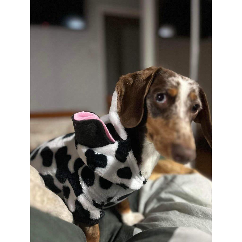 Cow Dog jumper