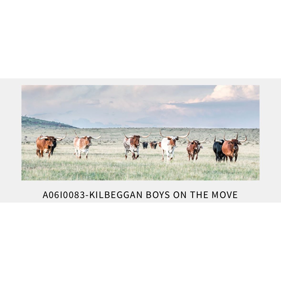 ‘Kilbeggan Boys on the Move’
