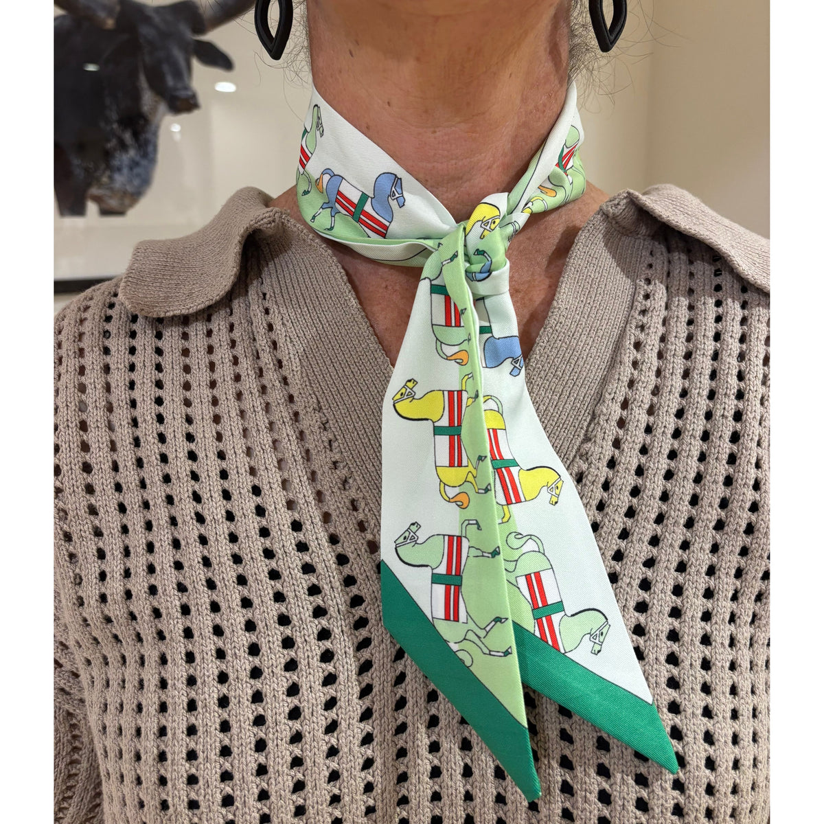 Neck Ties / Scarf / Twilly