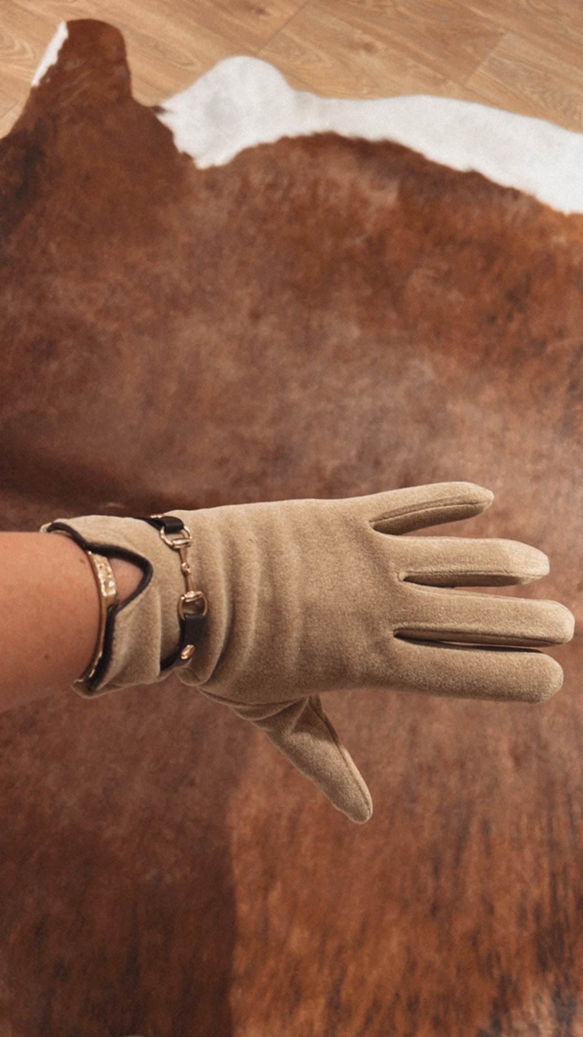Glove Collection