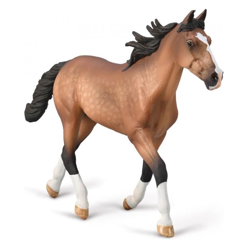 Standardbred Pacer Stallion - Bay (XL)