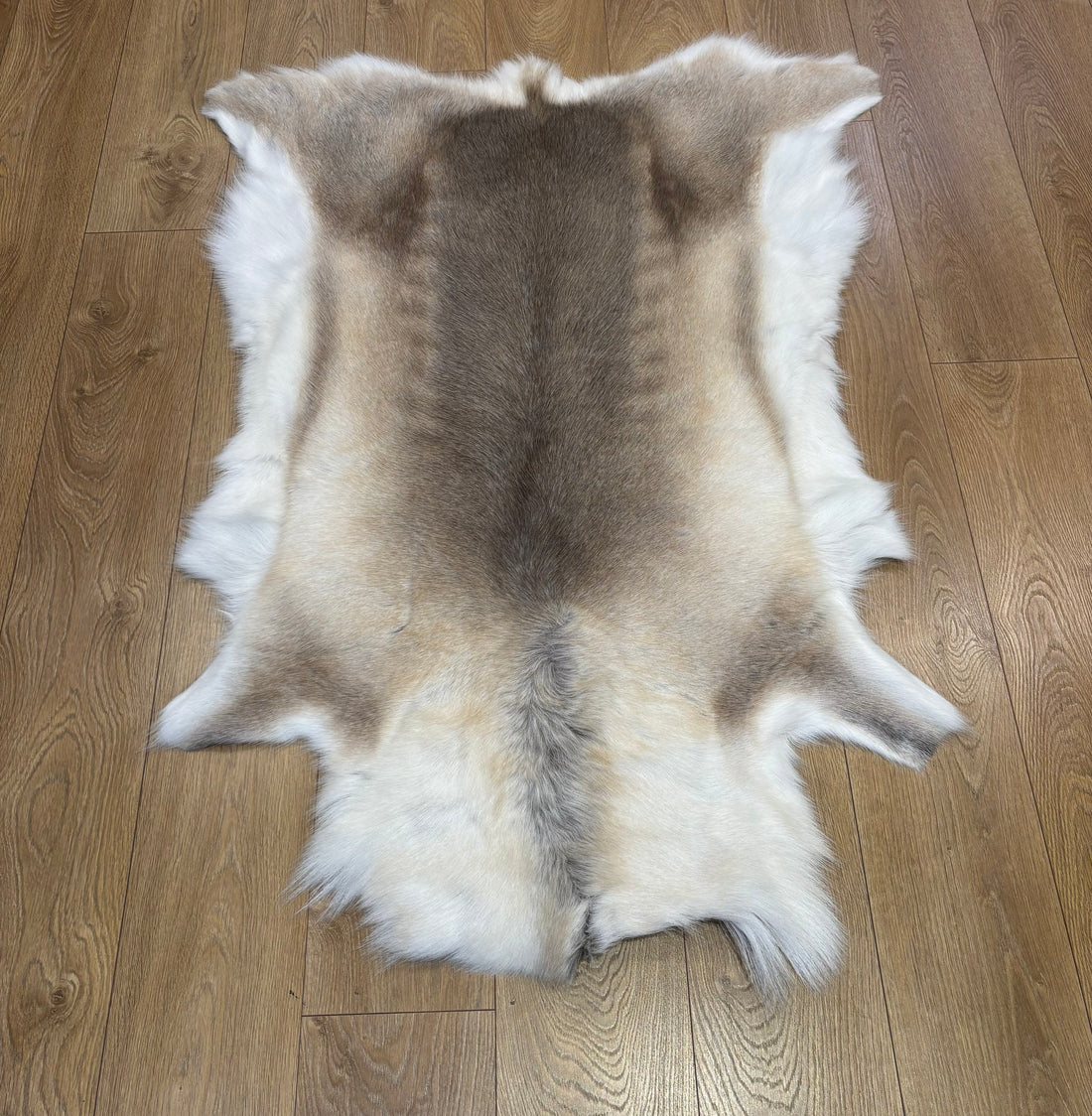 Reindeer Hide