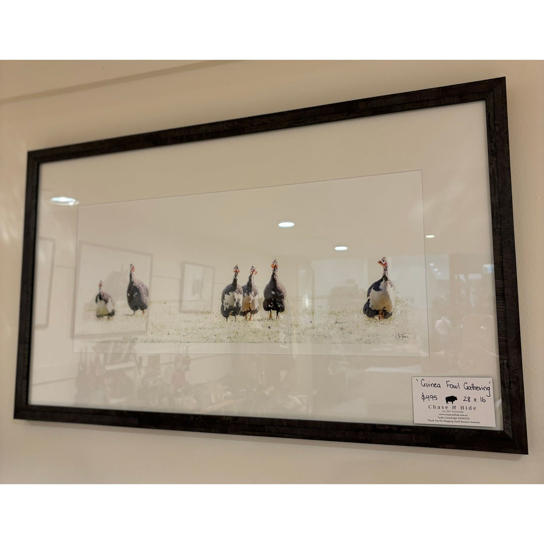 ‘Guinea Fowl Gathering’