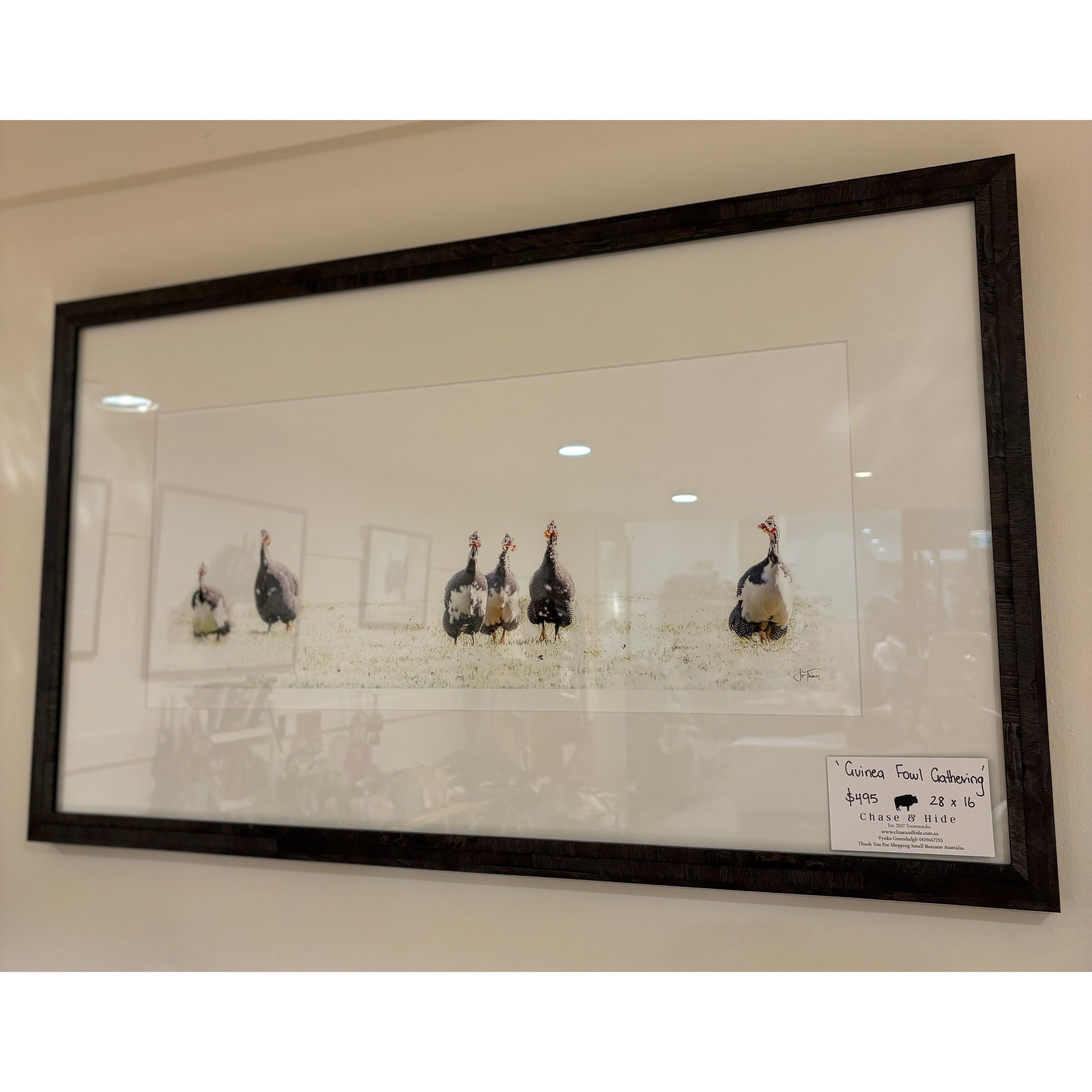 ‘Guinea Fowl Gathering’