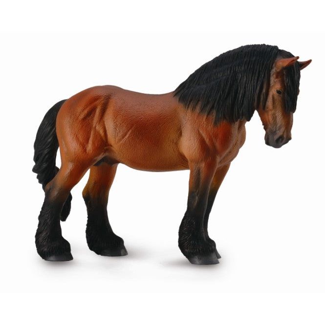 Ardennes Stallion - Bay