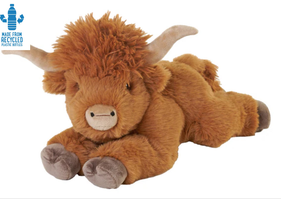 Highland Cow Laying