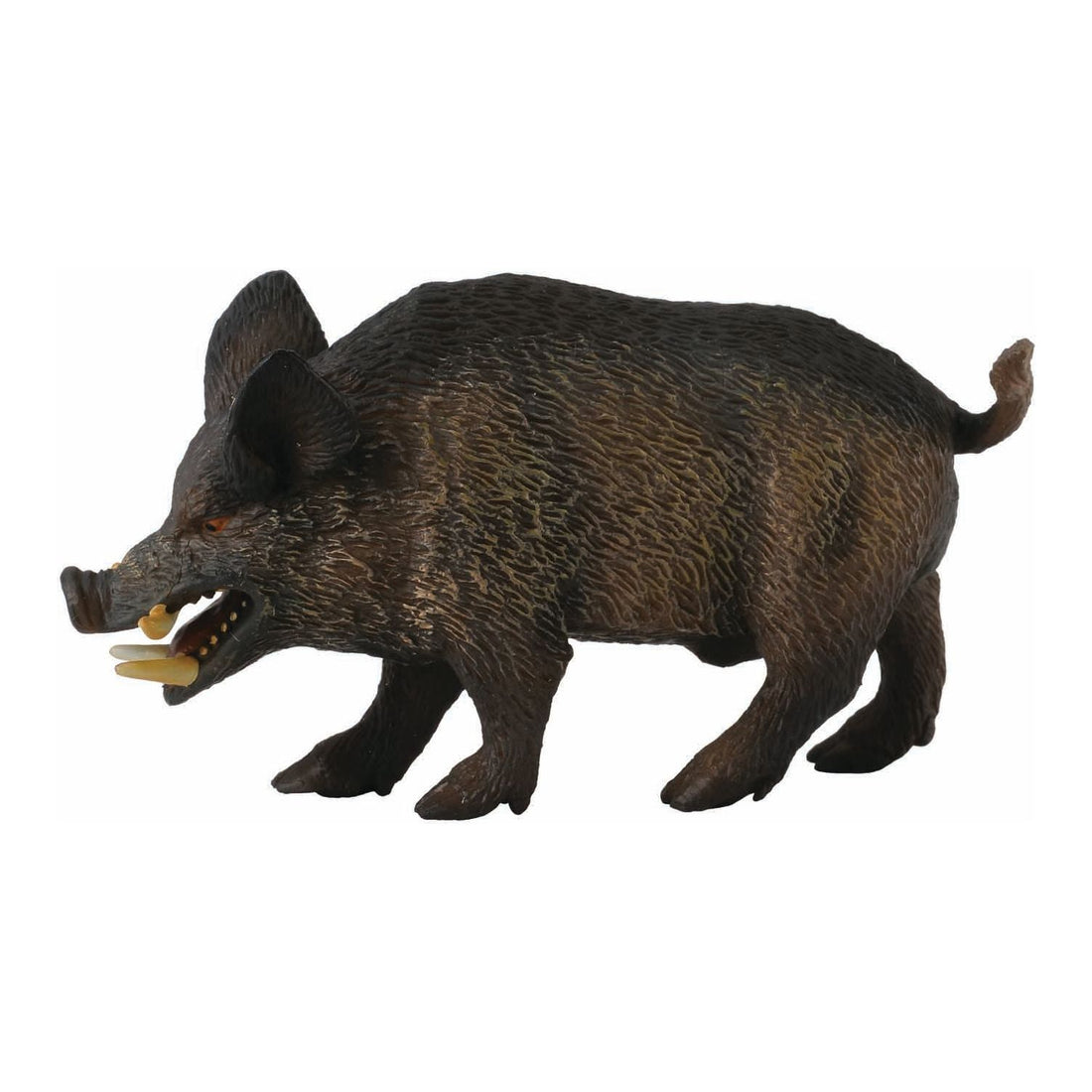 Wild Boar