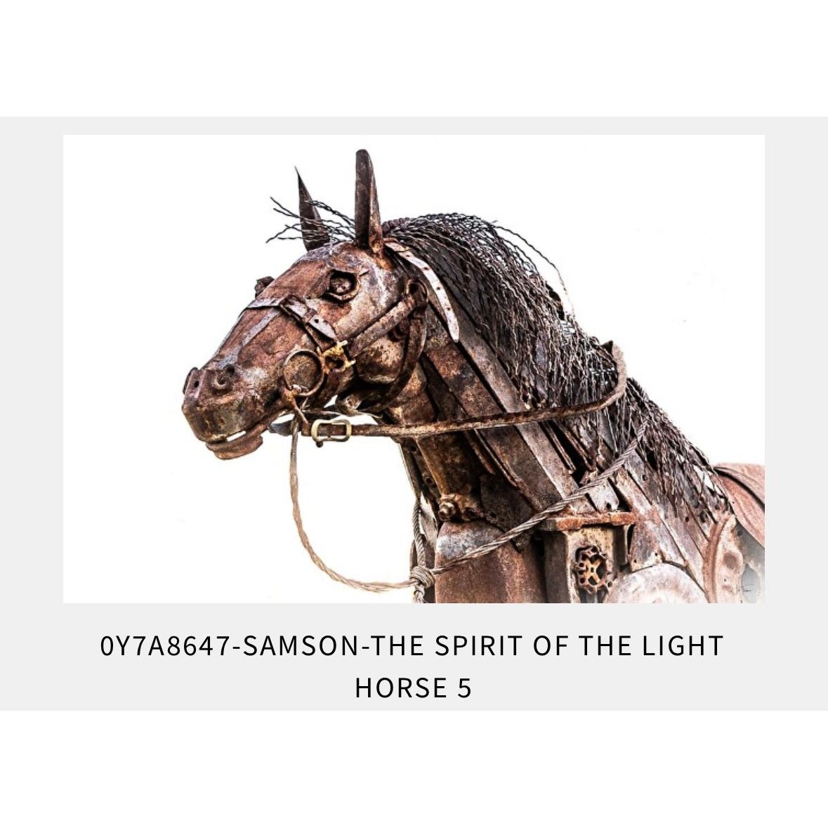 ‘Samson The Light Horse’