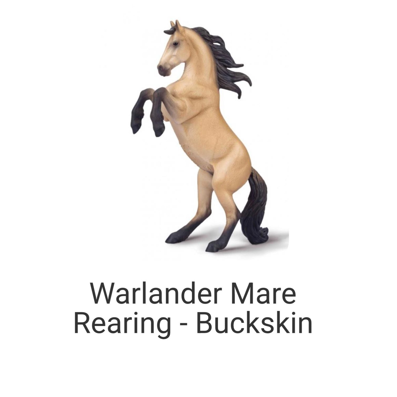 Warlander Mare Rearing- Buckskin (XL)