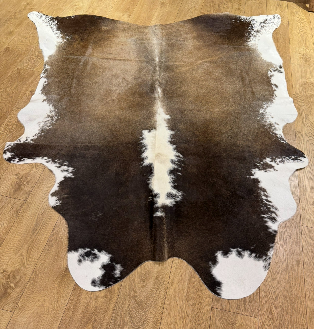 Cow Hide Rug
