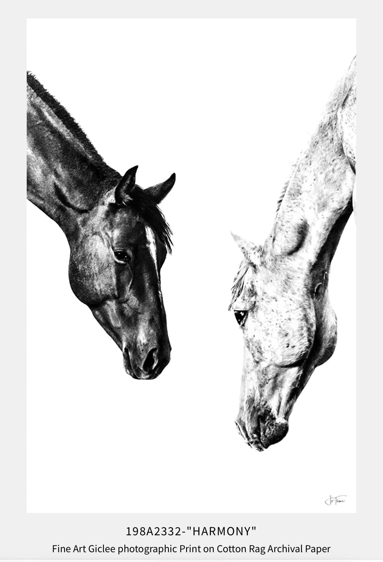 “Harmony” Sold Available to Order