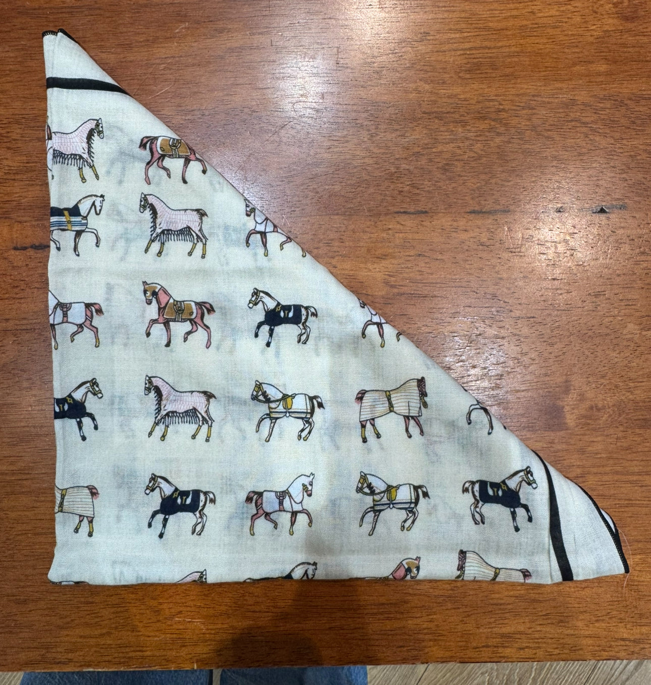 Wild Rags Horses