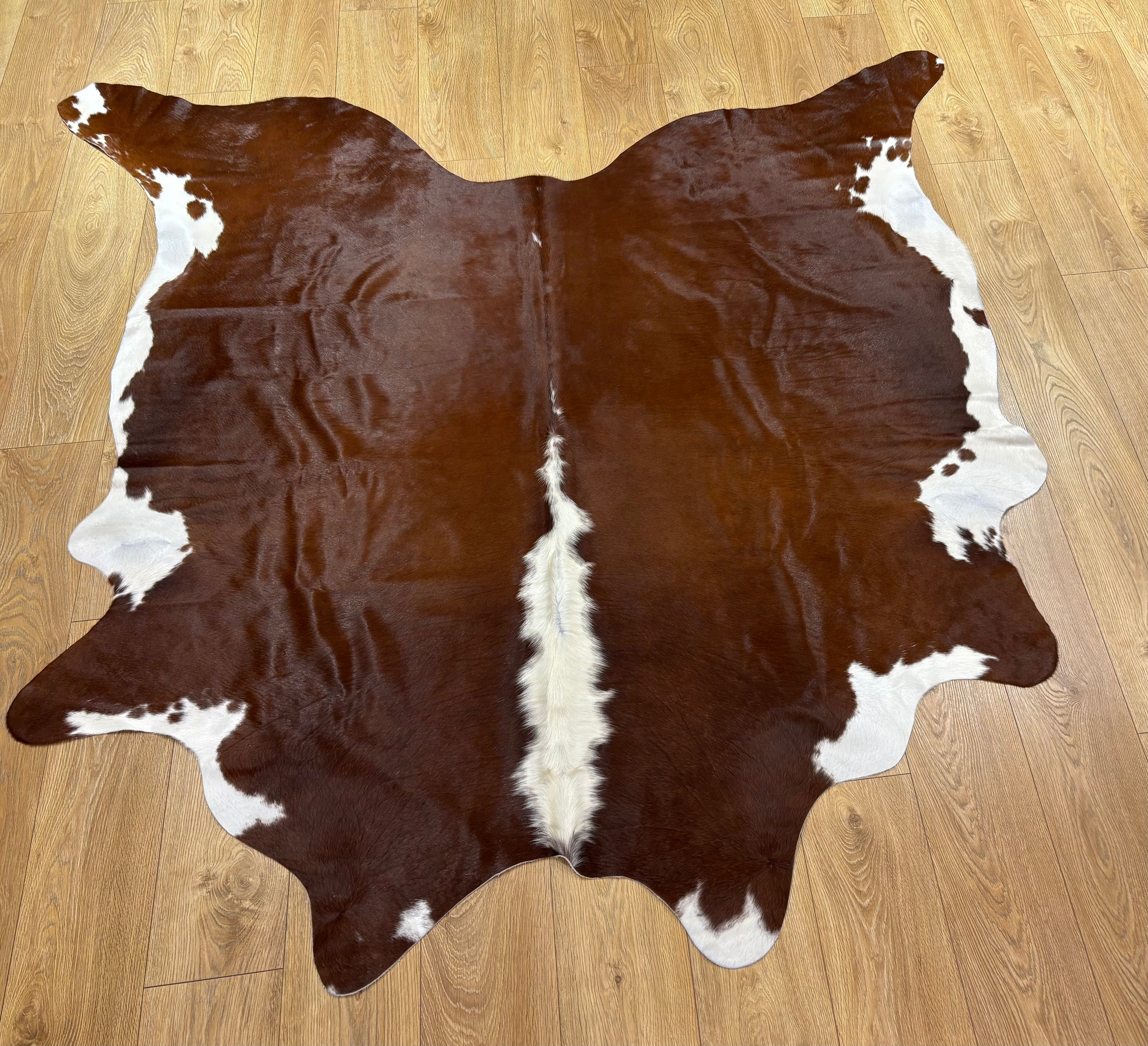 Cow Hide Rug