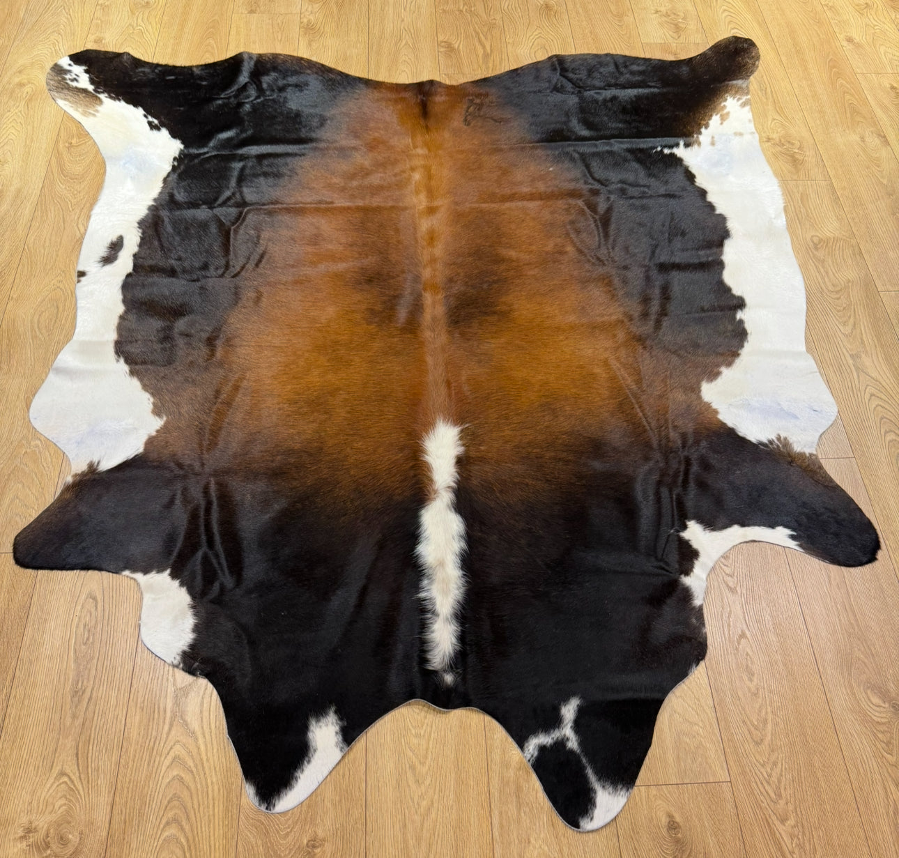 Cow Hide Rug