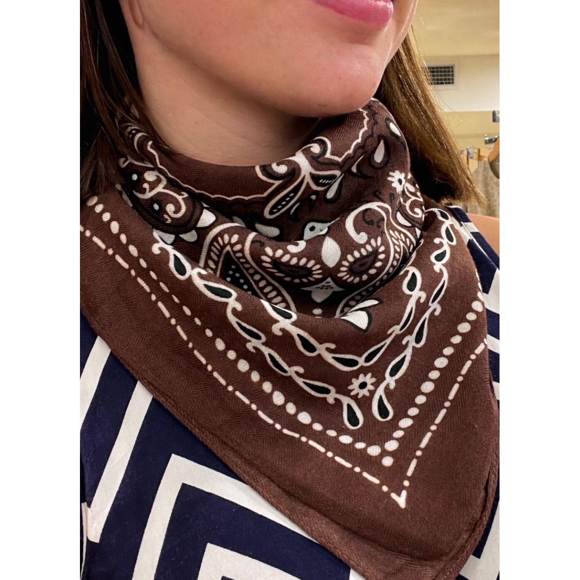 Brown Paisley Bandana