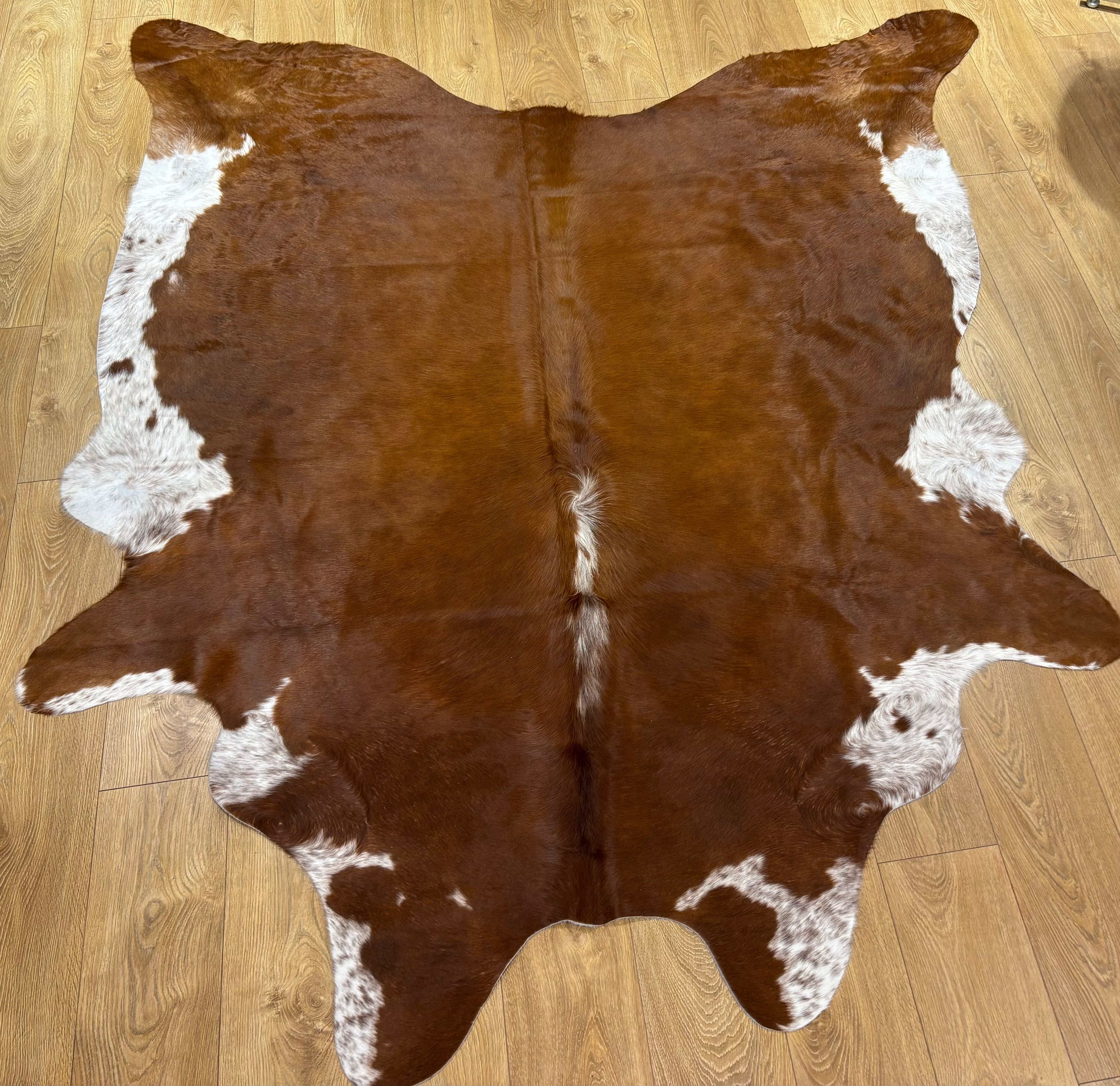 Cow Hide Rug